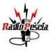 Radio Pescia Webradio