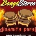 Bongó Stereo