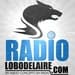 LOBO DEL AIRE  RADIO