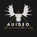 Auideo Radio