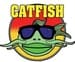 Catfish Country 100.1 - WDGM-FM