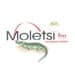 Moletsi FM