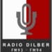 Radio Dilber FM 94