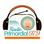 Radio Primordial