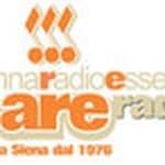 Antenna Radio Esse