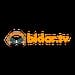 Bidar Radio