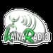 Kaina Radio