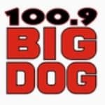 Big Dog 100.9 - CKTO-FM