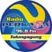 Radio Perkasa FM