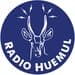 Radio Huemul