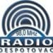 Puls 91.1 FM - Radio Despotovac