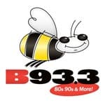 B 93.3 - WLDB