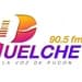 Puelche 90.5 FM