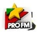 ProFM - ProFM Slagar