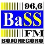 Radio BaSS FM