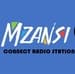 Mzansi Connect Radio Station