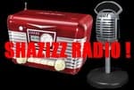 Shazizz Radio