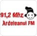 Ardeleanul FM