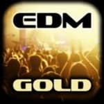 R-DIO - EDM GOLD