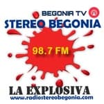 Radio Stereo Begonia