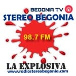 Radio Stereo Begonia