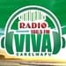 Radio Viva Carelmapu