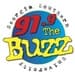 The Buzz 91.9 - WVGS