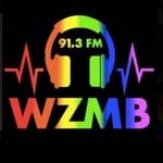 East Carolinas Alternative - WZMB