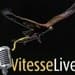 Vitesse Radio