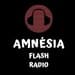 Amnesia Flash Radio