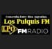 Radio Los Pulquis de Concordia