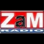 ZaM Radio - Izvornjaci