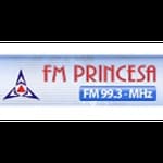 Rádio FM Princesa 99.3