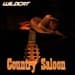 WildCat - Country Saloon