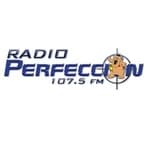 Radio Perfección