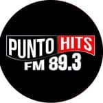 Punto Hits Fm 98.3