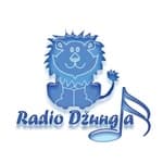 Radio Džungla - Live I Program