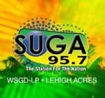 SUGA 95.7 FM Radio Station - WSGD-LP