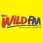 99.1 Wild FM - DXRT