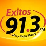 Exitos 91.3 - XHMLS