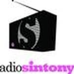 Radio Sintony