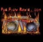 Pro Flow Radio