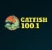 Catfish 100.1 - WTBC