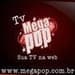 Mega Pop Radio