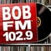 102.9 BOB FM - WJGO