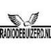 Radio Debuizerd